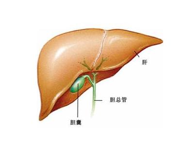 人为什么会得胆囊癌？这几个原因，越早知道越好